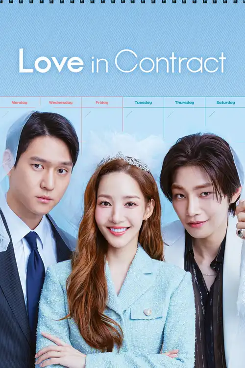 Download Love in Contract (Season 1) Dual Audio {Hindi Korean} K Drama Series 480p 720p & 1080p WEB DL 8 love in contract season 1