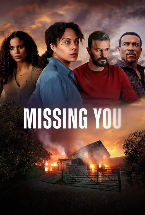 Download Missing You (2025) Season 1 Complete Dual Audio {Hindi English} Netflix Original WEB Series 480p | 720p WEB DL 5 missing you 2025