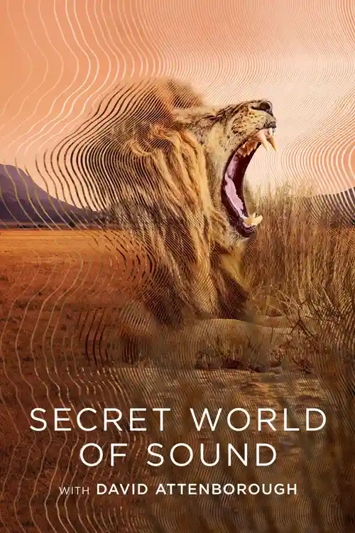 Download Secret World of Sound with David Attenborough – S01 (2024) Dual Audio {Hindi English} WEB Series 720p & 1080p WEB DL 1 secret world of sound with david attenborough s01 2024